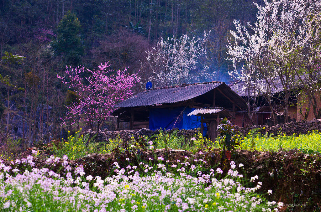 Tour Hà Giang 3 ngày 2 đêm