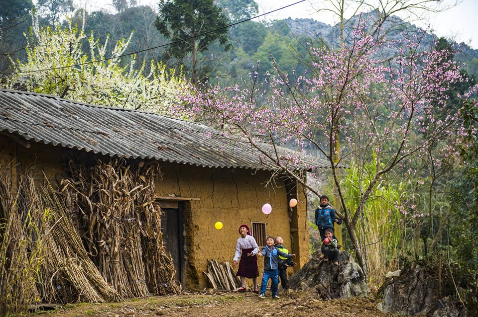 Tour Hà Giang 3 ngày 2 đêm