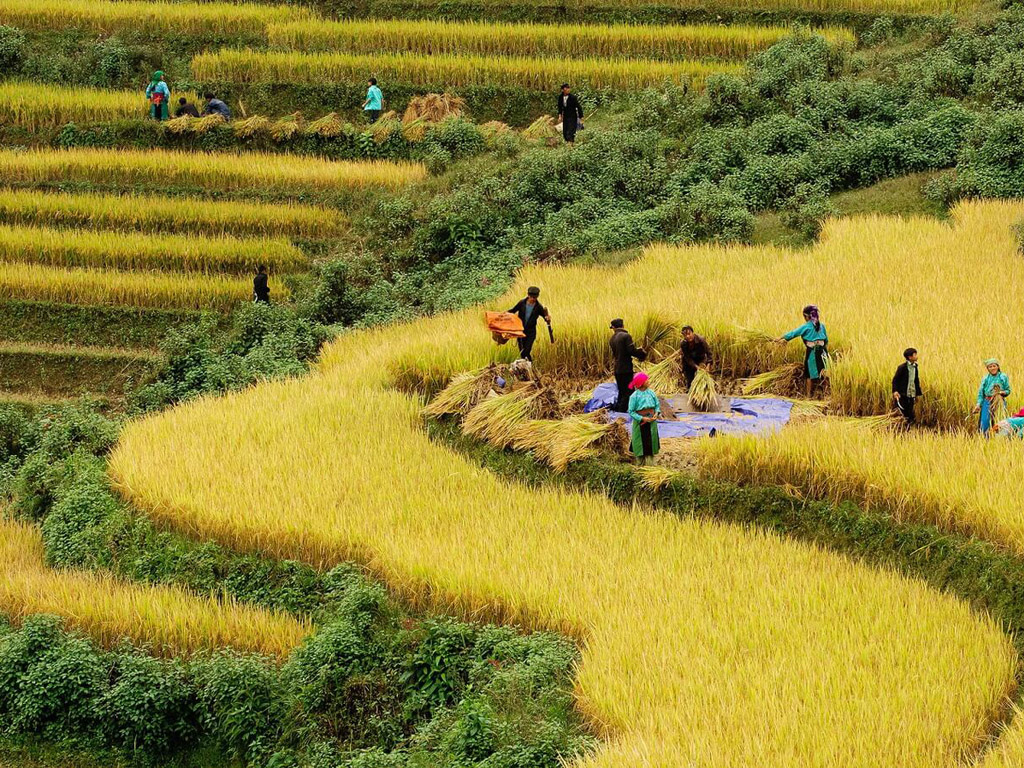 du lịch Hà Giang
