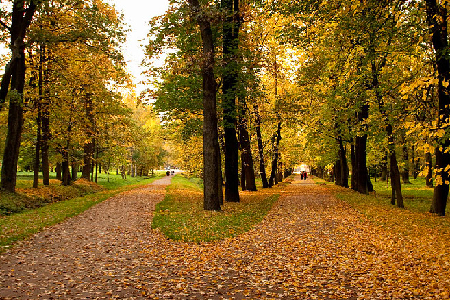 Nước Nga với mùa thu đẹp nhất thế giới